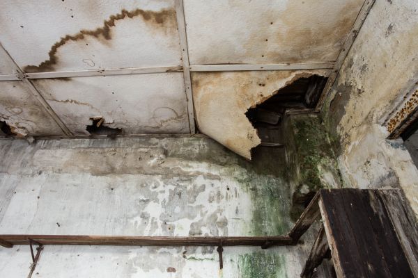 Water Damage Service in Littleton