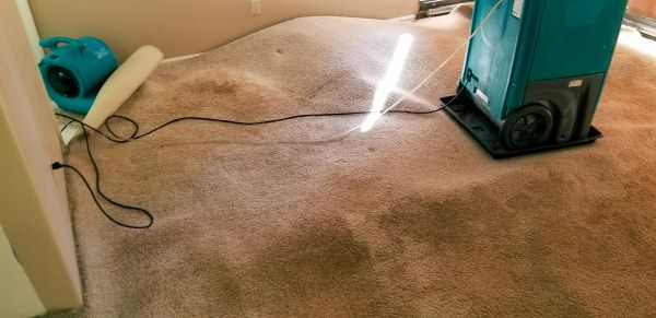 Flood Damage Cleanup in Littleton