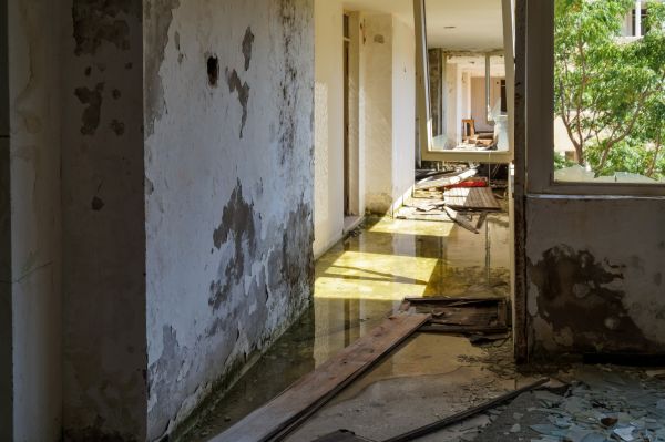 Water Removal Service in Littleton