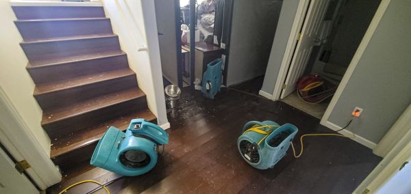 Water Damage Remediation in Littleton
