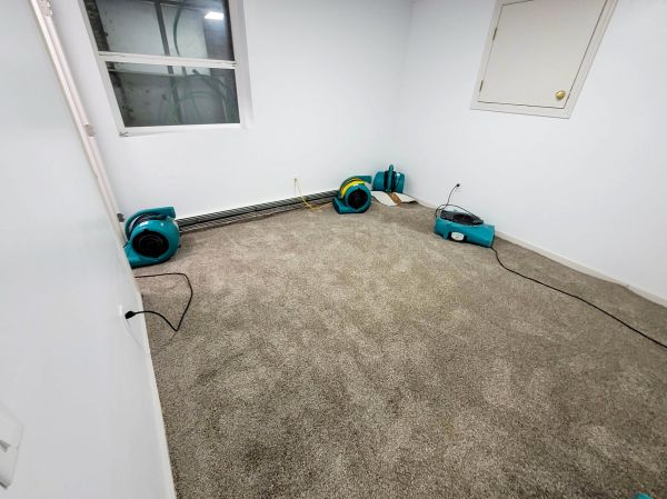 Flood Restoration Service in Littleton