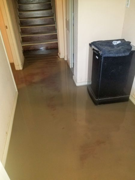 Emergency Water Removal in Littleton