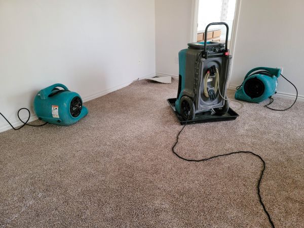 Water Damage Repair in Littleton