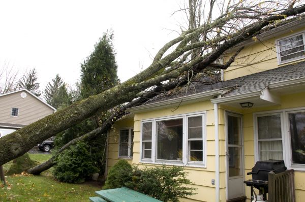 Hurricane Damage Repair in Littleton