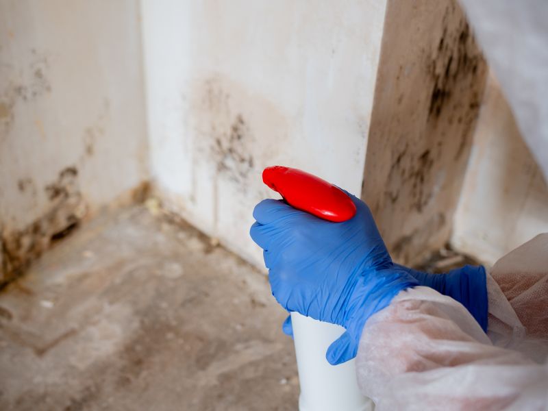 Mold Prevention Process